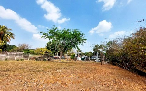  Large land for sale in Altamira