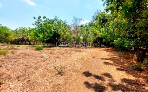  Land for sale ideal for wineries on the road to Veracruz