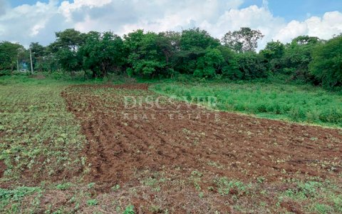  Land for sale on Carretera Sur