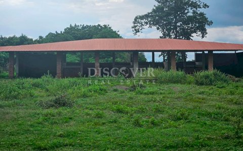  Livestock/Agricultural Farm for Sale in Masaya