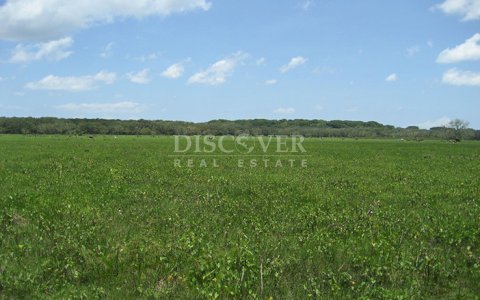 Se vende finca productiva en el Departamento de Chontales 