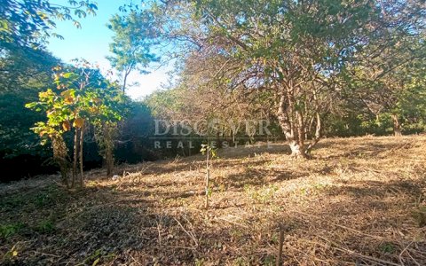 Land for sale on Carretera Vieja to León