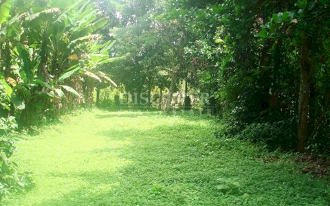 Flat land for sale in Jinotepe 