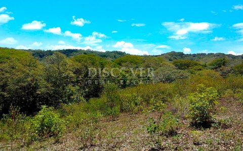 Land for sale, ideal for a farm or country home - Old Road to León