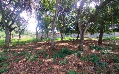 Flat land for sale in Masaya