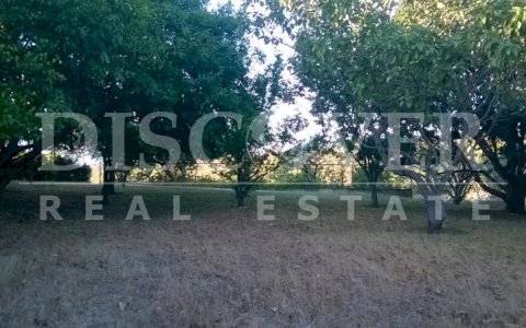 Lot for Sale in Intermezzo del Bosque Zone ID 8740