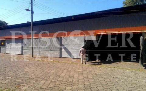 Cellar of 236 Mt2-Rent