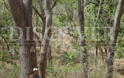 Farm for sale in South Highway.