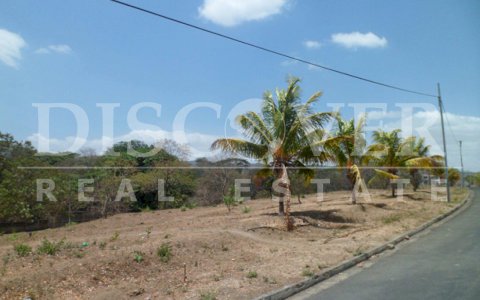  Urbanized Lots for Sale on Vieja a Leon Highway ID 8817