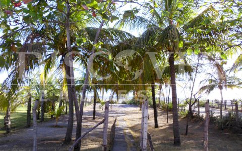 Rental house in Leon