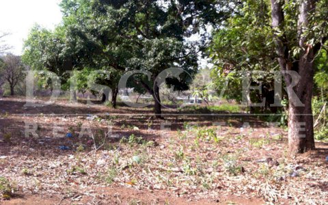  Lot for Sale in Masaya Highway ID 8918