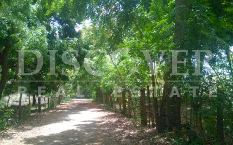  Lot for Sale in Granada ID 8925