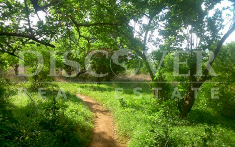 Flat Lot for Sale in Sabana Grande ID 8932