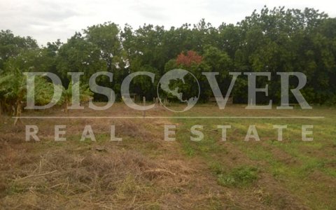  Farm for Sale in Casares Beach