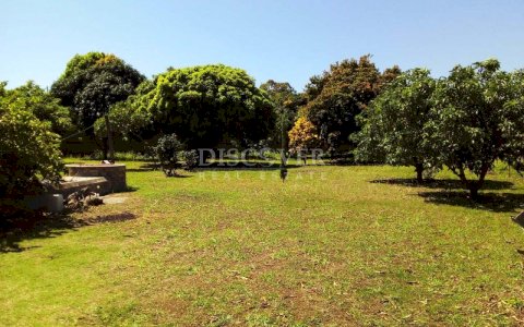  Flat Topography Land for Sale, Located in Rivas