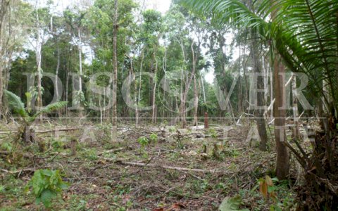 Farm for Sale in Rio San Juan