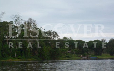 Farm for sale in Boca de Sábalos - Fertile land for crops