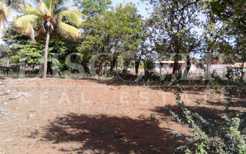 Flat Lot for Sale in Ticuantepe ID 8972
