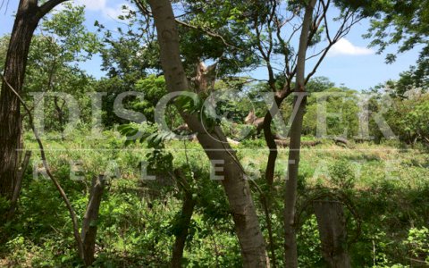Beautiful Farm for sale at Vieja León road .
