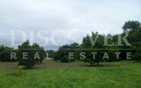 Farm for sale at Diriomo.