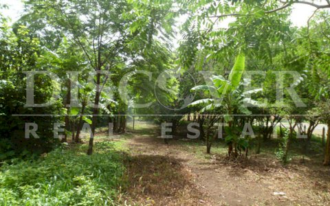 Farm for Sale in Road to Diriomo ID 9058