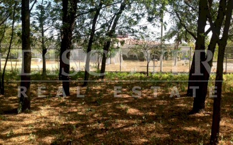 Land located in the entrance of León Road ID 9092