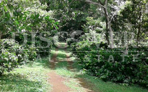 Land for sale on the main road in Jinotepe 