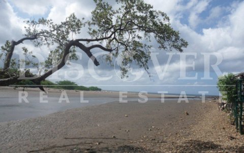  Farm of 28 Hectares for Sale