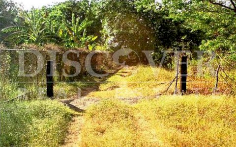  Sale of agricultural farm in Nindiri, Masaya, Nicaragua