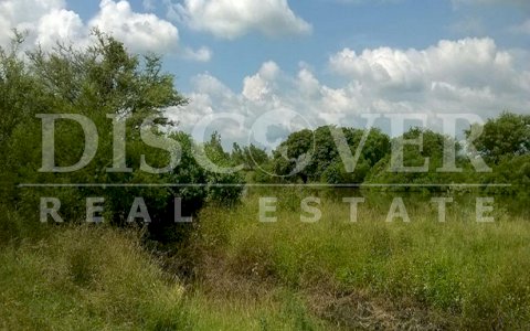 Cattle farm for sale, North Road