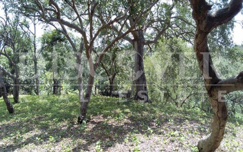 Land for Sale in Obelisks of Santo Domingo ID 9397