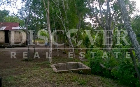 Farm for Sale in Diriamba