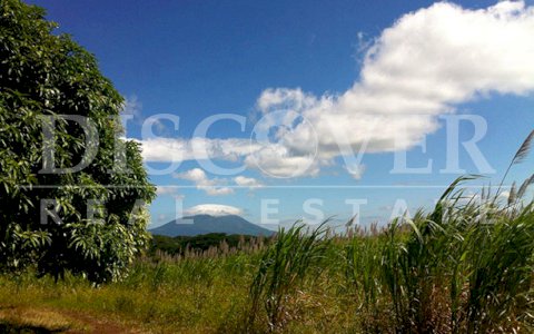 Farm for Sale in Carazo