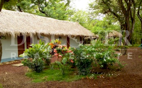  Hotel for sale in Rivas