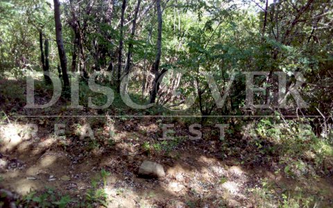  Beach Lots for Sale in Astillero