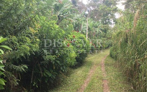 Coffee farm for sale in Jinotega 