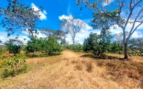  Ranch for sale in Diriamba