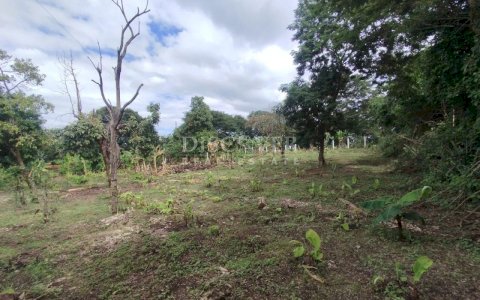 Land for sale in residential area in San Isidro de Bolas