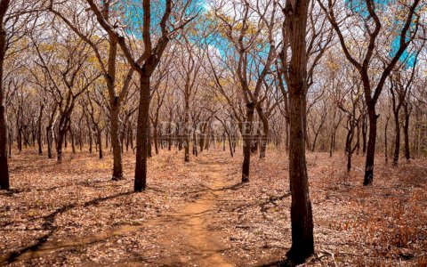  Extensive land for sale in Jinotepe 