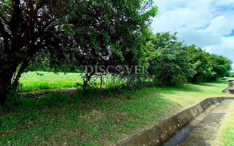  Land for sale across from the highway in Masaya