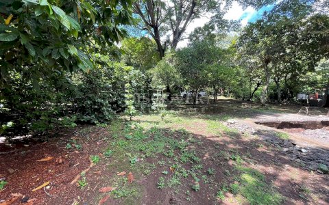  Beautiful Finca for sale in Carretera Sur.