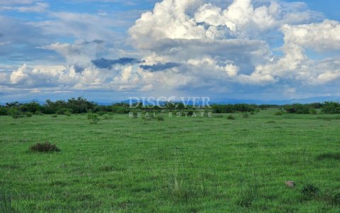  300 mnz of land for rent, ideal for planting rice. 
