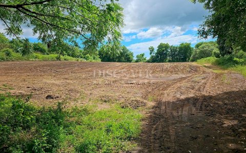  Farm for sale in León
