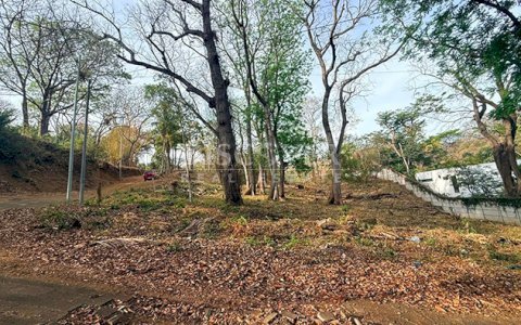  Land for Sale on Carretera Sur