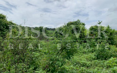  Land for Sale in Old to Leon Road ID 12426