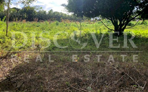  Land for Sale in Veracruz ID 12410