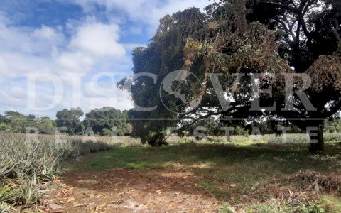  Flat Land of 13.92 acres for Sale in Ticuantepe ID 12792