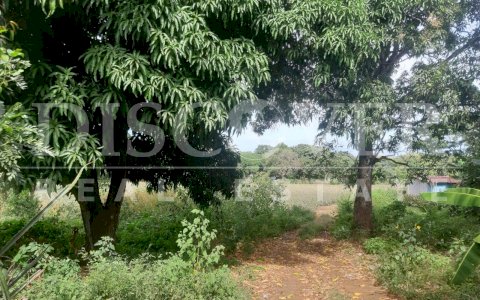  Land of 8.7 acres for Sale in East of Ticuantepe ID 12793