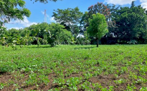  Land of 3.48 acres for Sale in Road to Ticuantepe ID 1285