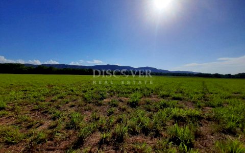  Flat Land for Sale in Carretera Nueva León ID 12194